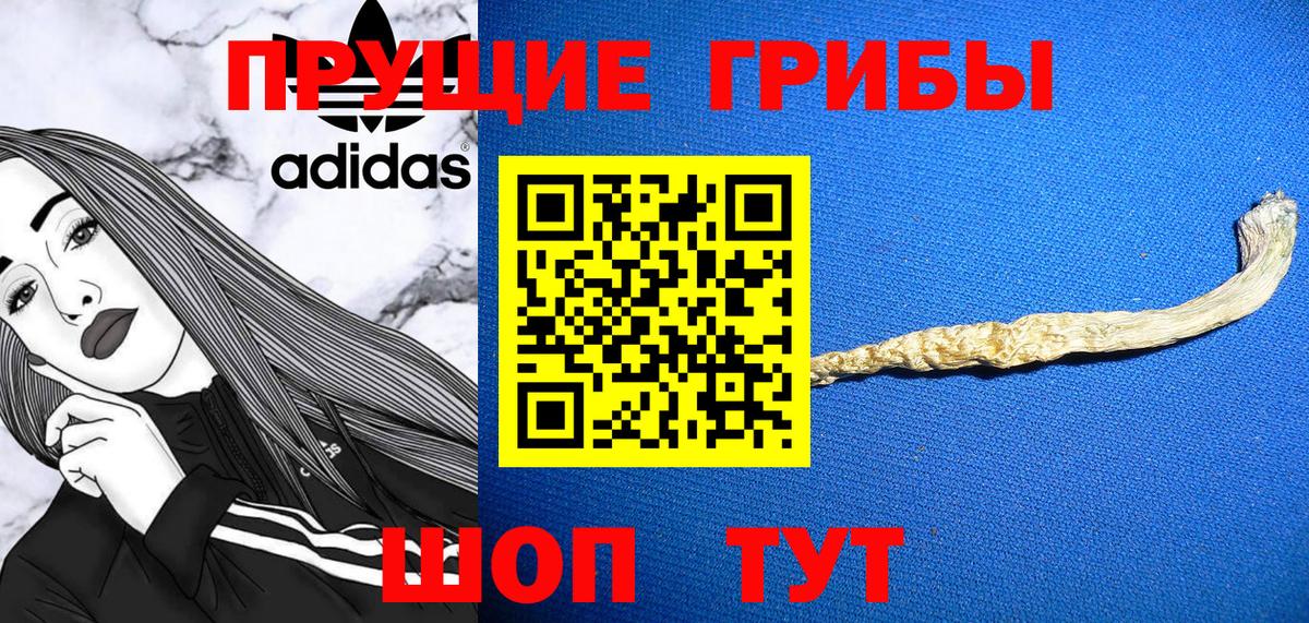 Галлюциногенные грибы мухоморы Магадан